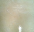 /album/porcelanicos/luna-crema-jpg/